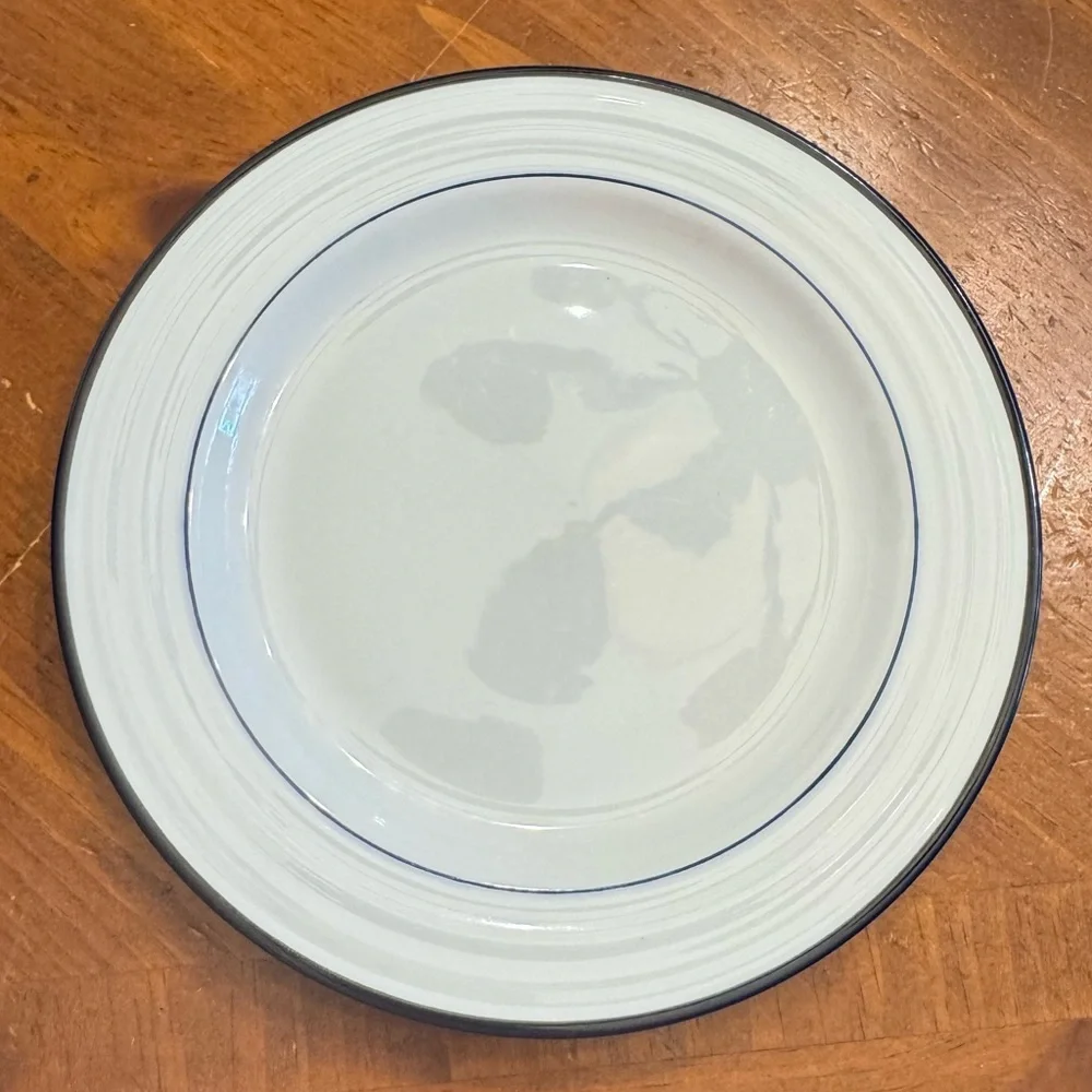 Lot of 4 Crate & Barrel Spal Porcelain Roulette Blue Trim 8 1/4” Salad Plate